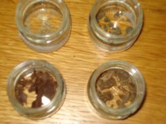 DSC06514.JPG