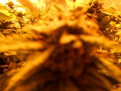DSCN0221.JPG