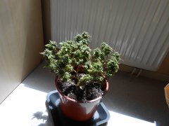 DSCN0276.JPG