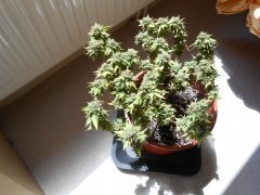DSCN0277.JPG