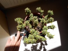 DSCN0279.JPG