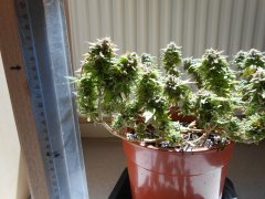 DSCN0282.JPG