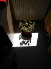 DSCN0284.JPG