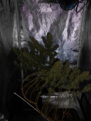 DSCN0435.JPG