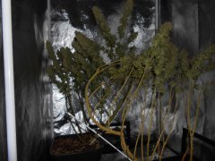 DSCN0436.JPG