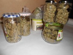 NL#5 & Master Kush