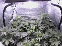 IMG_0274.JPG