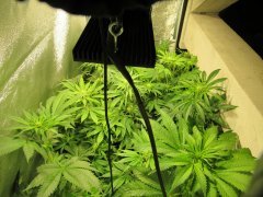 IMG_0488.JPG
