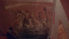 IMG_20181210_174020118.jpg