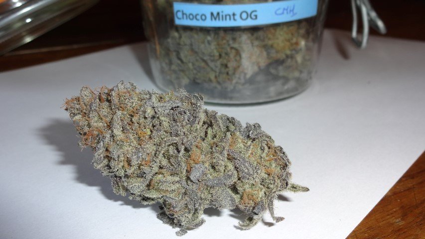 1016929397_choco(Small).JPG.347cb7151b23cce26d083d6e69b9421c.JPG