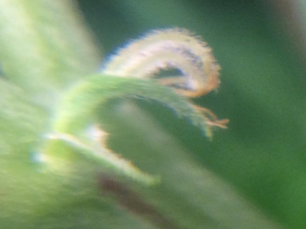 thumbnail (8).jpg