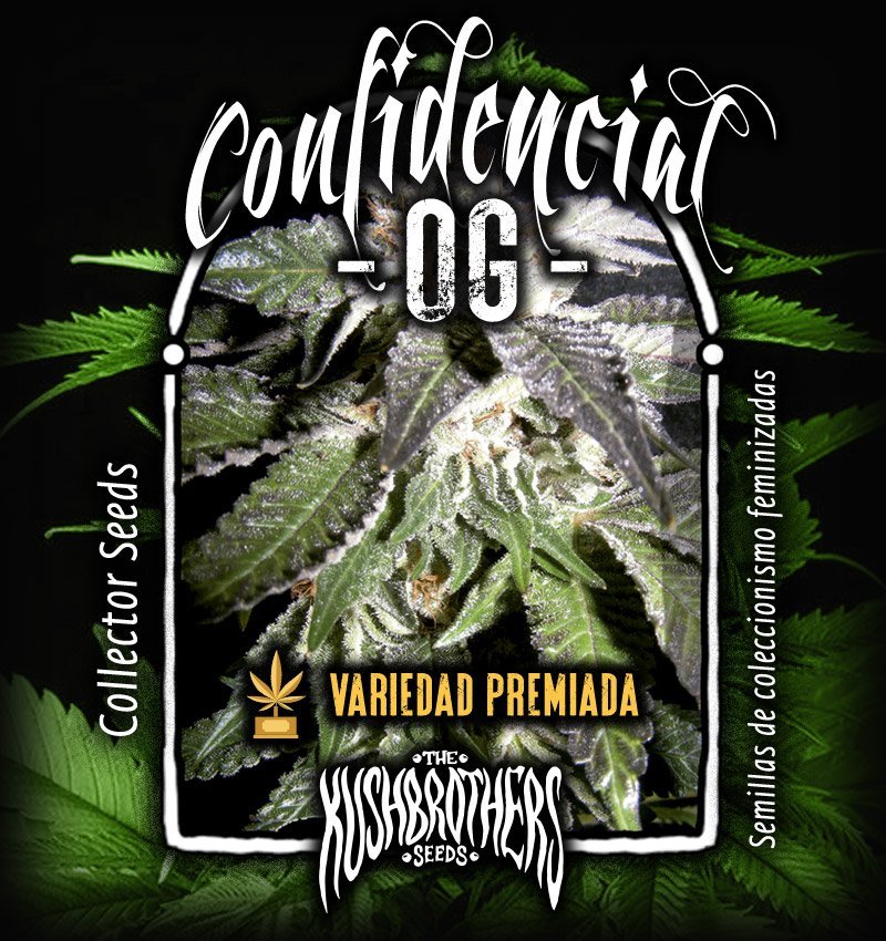 Confidencial OG