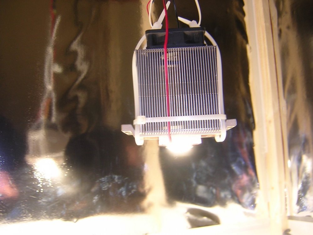 DSCN0952.JPG