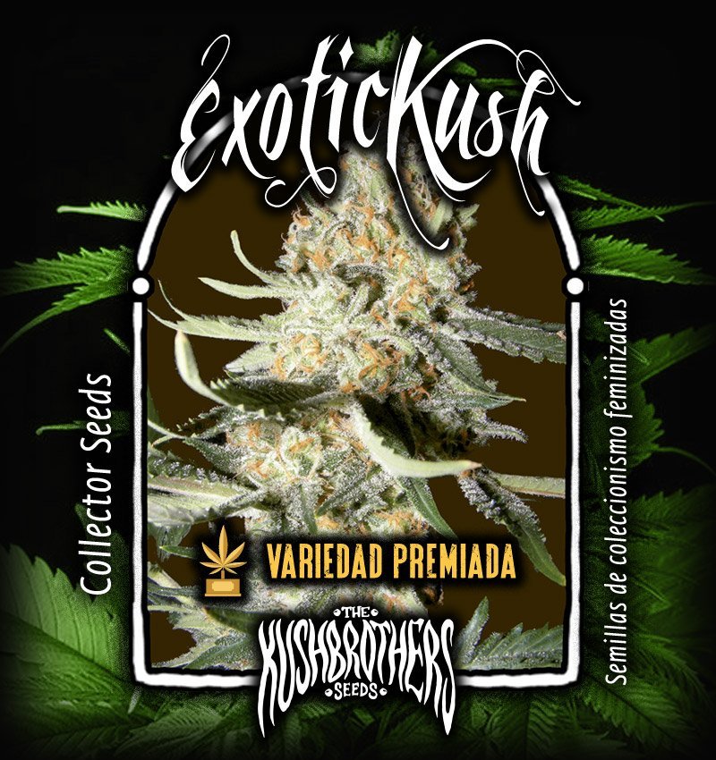 Exotic Kush