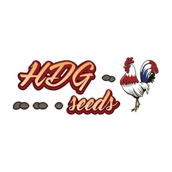 HdgSeeds.jpg