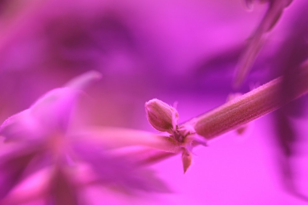 IMG_6842.thumb.JPG.bd202f26b19c08cc26d82efc1a3e24b7.JPG
