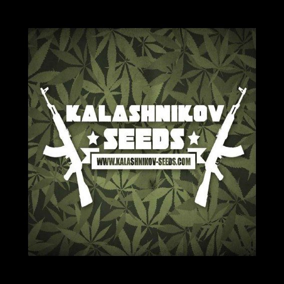 KalashnikovSeeds.jpg