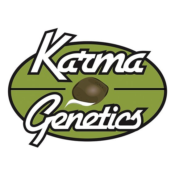 Karma Genetics