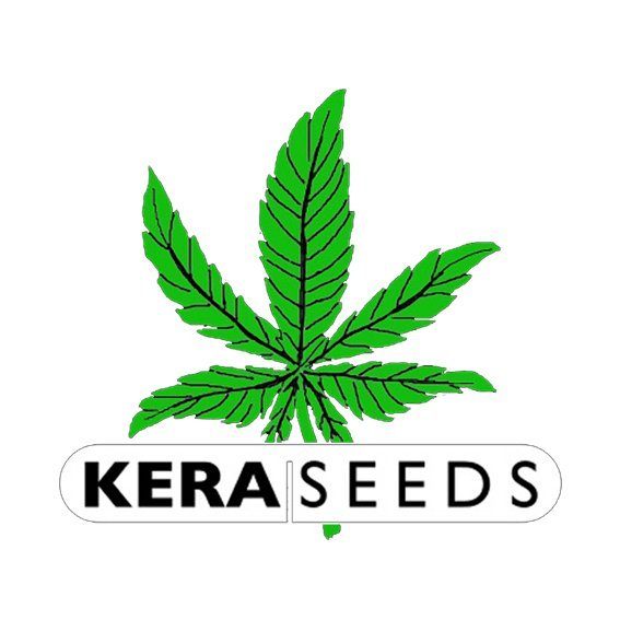 Kera Seeds