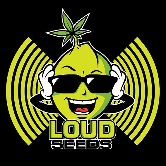 Loud Seeds