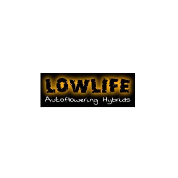 Lowlife