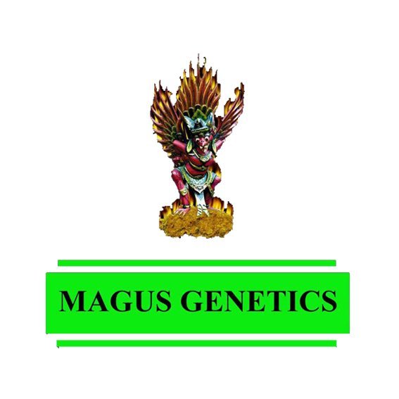 Magus Genetics