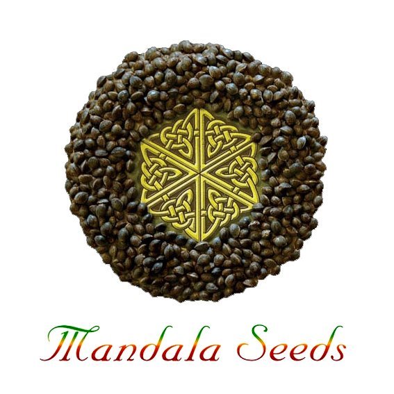 Mandala Seeds