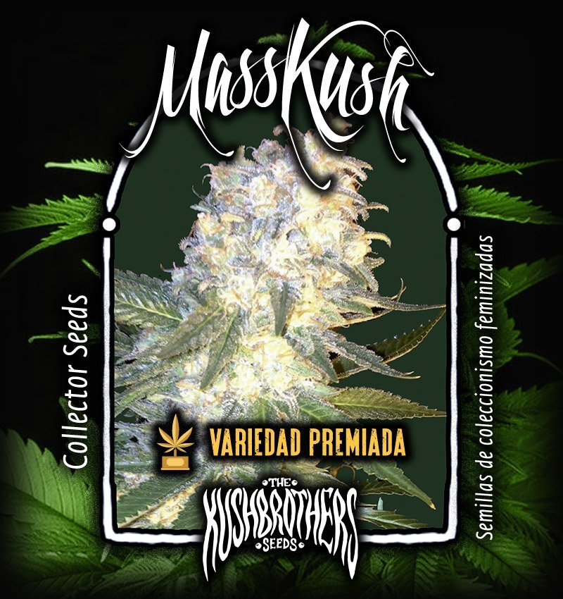 Mass Kush