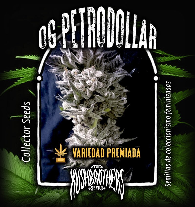 OG Petrodollar