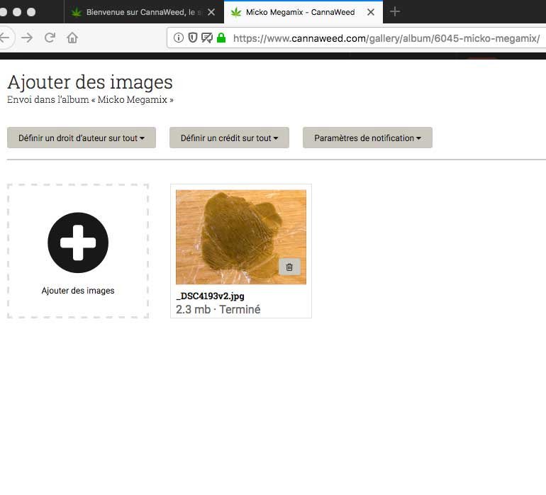 cannaweed-tof-gallery.jpg.1429ec5bba5bb45d99fd91eab4051549.jpg