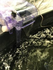 Biofiltre.jpg