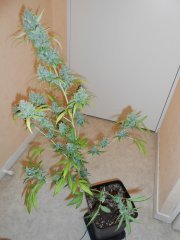 DSCN0399.JPG
