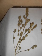 DSCN0404.JPG