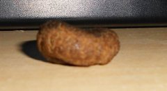 DSCN0732low.jpg