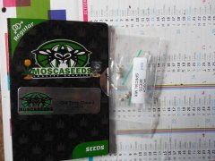 DSCN2151.JPG