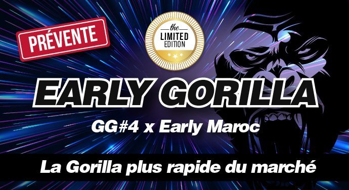 web-gorilla-fr (1).jpg