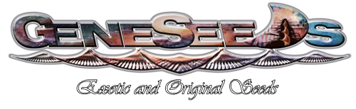 GENESEEDS-GALAXIA-500.png.9714b05f6043dd93e2a6fc068ee5109d.png