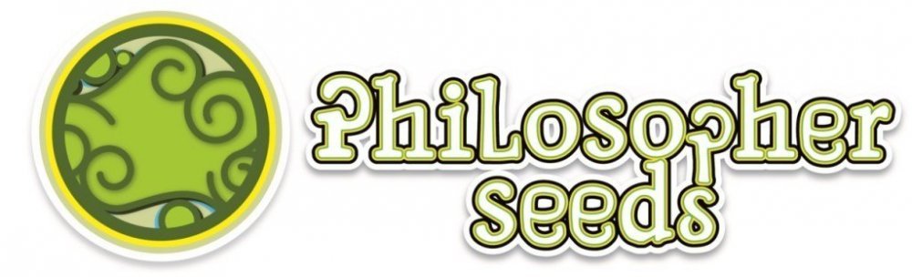 Philo-llarg-2013-2.jpg