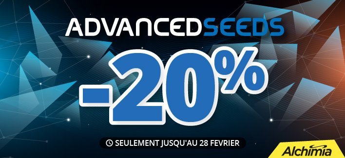 advanced-feb-2019-966.jpg