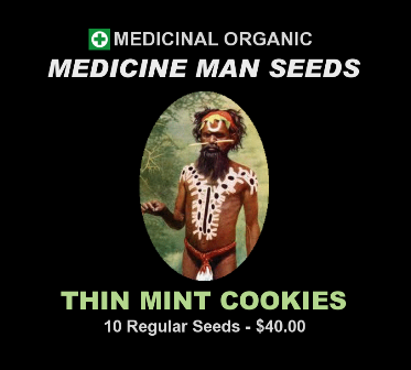 Girl Scout Cookies Thin Mint