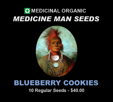 Blueberry Cookies