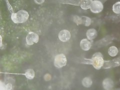 20190204_184137.jpg