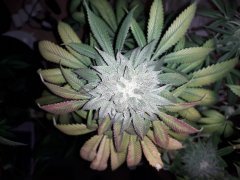 20190206_203717.jpg