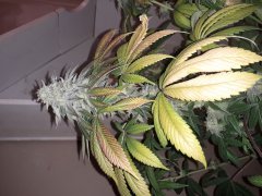 20190206_203803.jpg