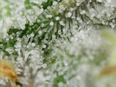 20190206_204512.jpg