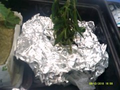 DSCF0002.JPG