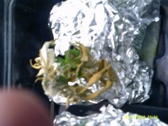 DSCF0006.JPG