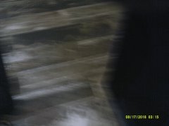 DSCF0008.JPG