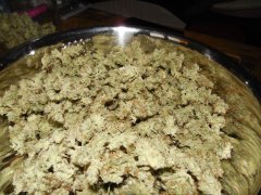 Strawberry glue #4 thseeds
