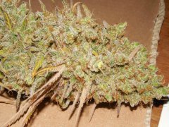 Diesel moonshine de pere inconnu #1